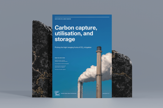 CCUS publikation WP grafik