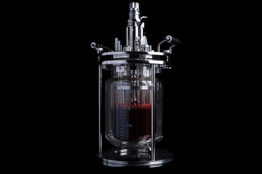 Fermentation tank - Chromologics